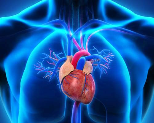 Què és la síndrome del cor esquerre hipoplàsic?