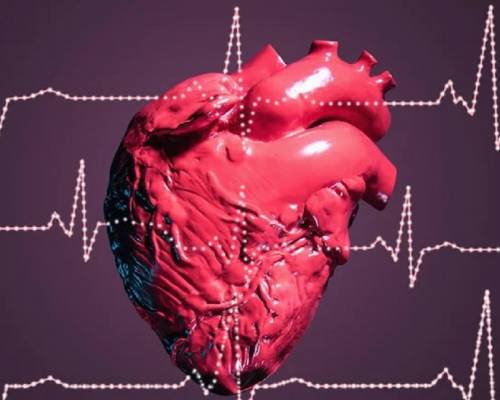 Un algoritme identifica les persones pel batec del cor