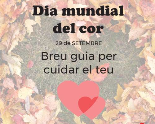 29 de setembre: Dia Mundial del Cor: hàbits que salven vides