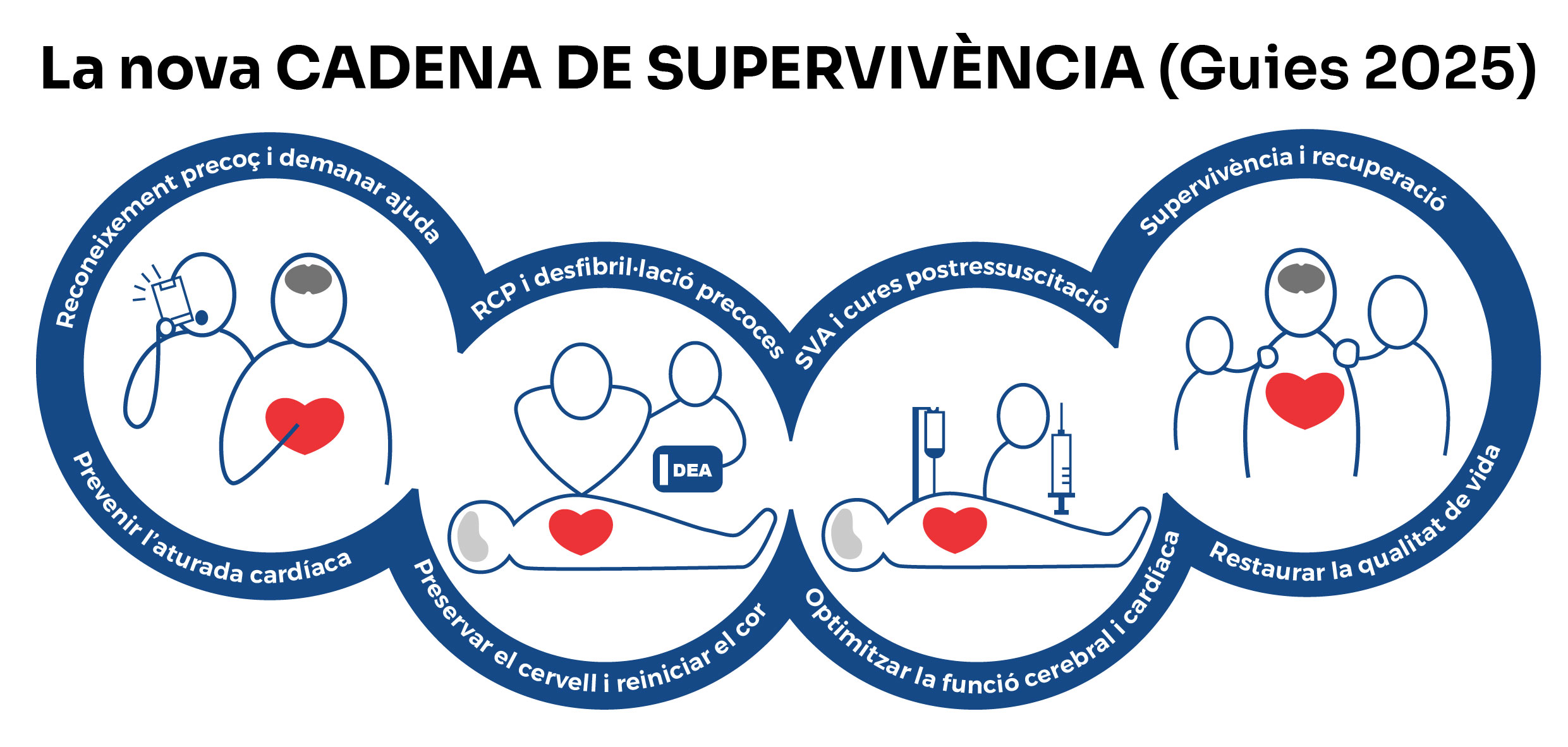 cadena supervivencia CAT 01
