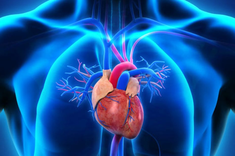 corazon hipoplasico cardiopatias congenitas comprar dea barato