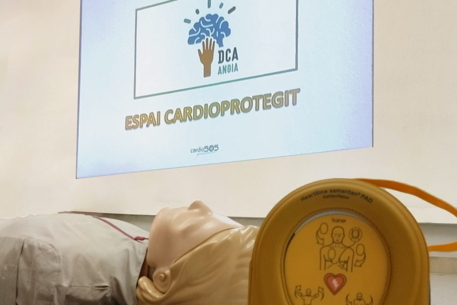 formació Anoia DCA dany cerebral adquirit