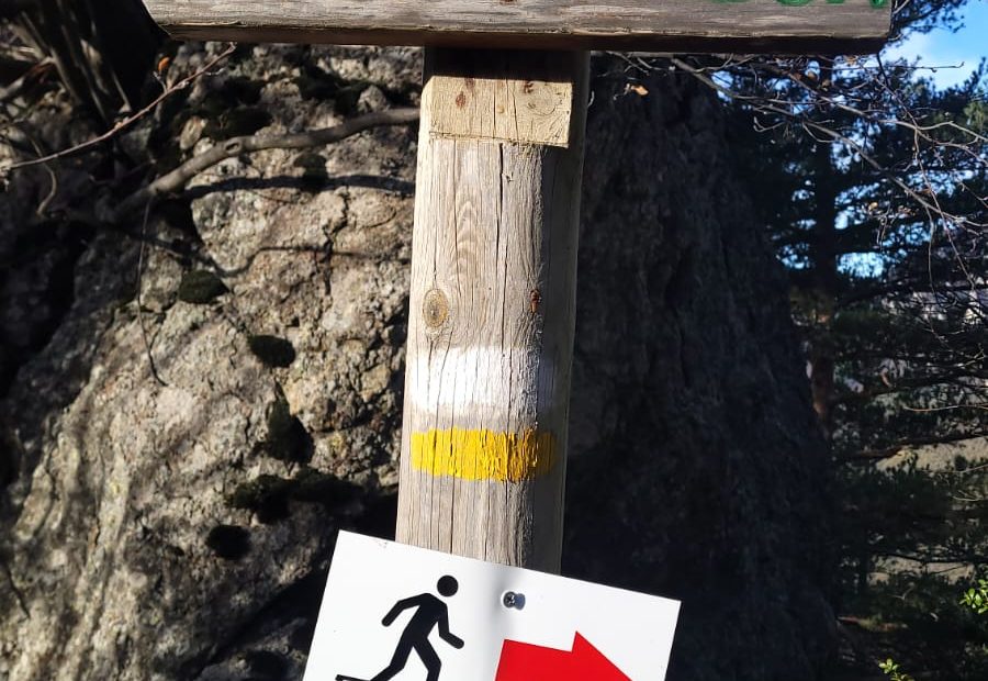 WhatsApp Image 2023 11 28 at 095927