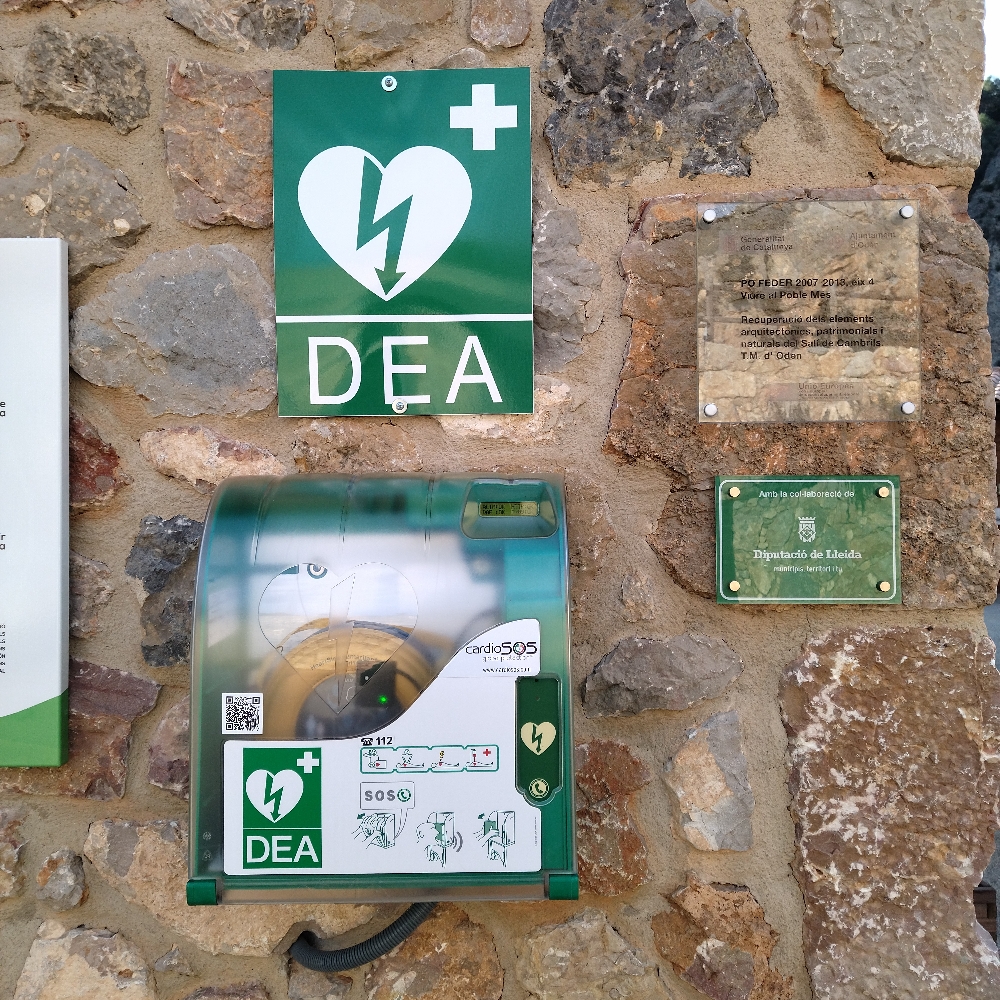 sali cambrils cardioprotegit DEA