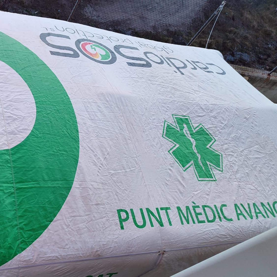 det carpa punt medic avanat