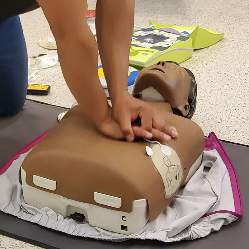 jornades de reciclatge SVB i us de DEA