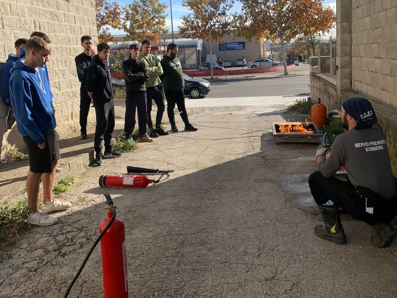 curs-foc-monitors-animans